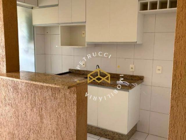 Apartamento aluguel em Vila Ipê, Campinas