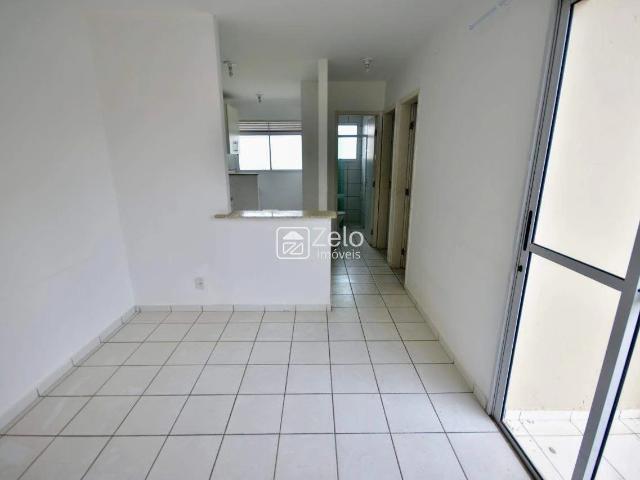 Apartamento aluguel em Campinas