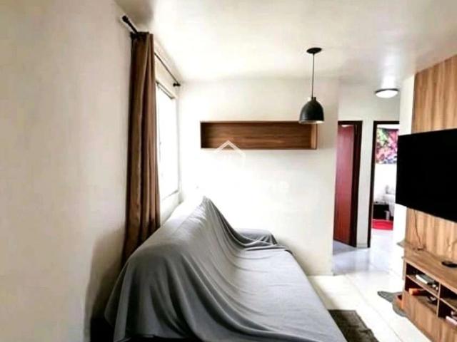 Apartamento aluguel em Campinas
