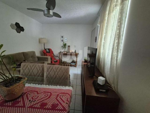 Apartamento aluguel em Campinas