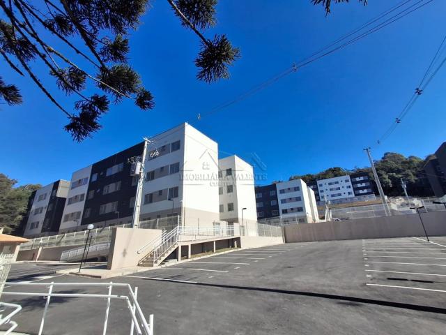 Apartamento aluguel em Águas Claras, Campo Largo
