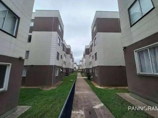 Apartamento aluguel em Região Geográfica Imediata de Curitiba, Região Metropolitana de Curitiba