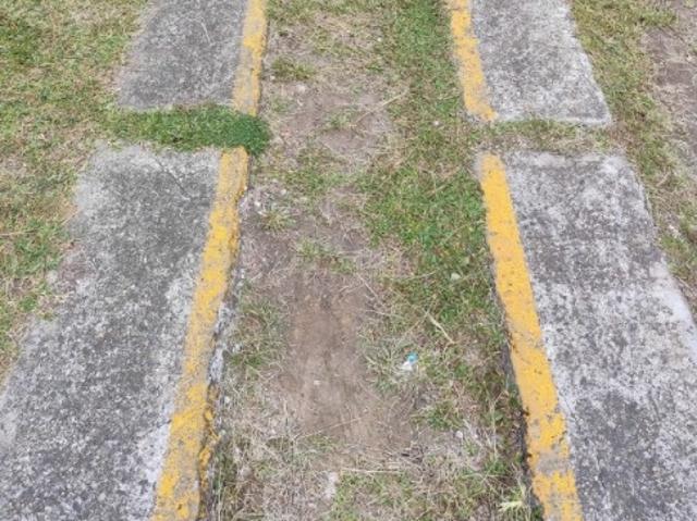 Apartamento aluguel em Região Geográfica Imediata de Curitiba, Região Metropolitana de Curitiba