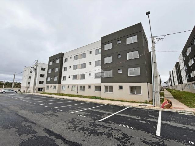 Apartamento aluguel em Ouro Verde, Campo Largo