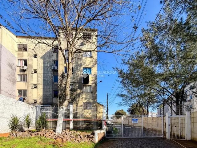 Apartamento aluguel em Região Geográfica Imediata de Porto Alegre, Região Metropolitana de Porto Alegre