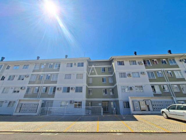 Apartamento aluguel em Região Geográfica Imediata de Cascavel, Cascavel