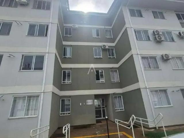 Apartamento aluguel em Região Geográfica Imediata de Cascavel, Cascavel