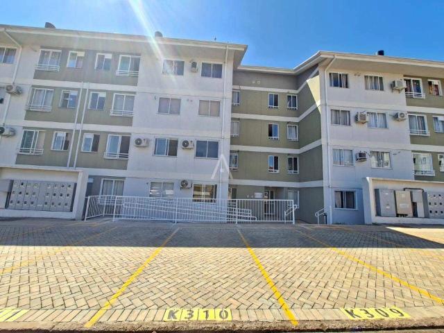 Apartamento aluguel em Cascavel, Região Geográfica Intermediária de Cascavel