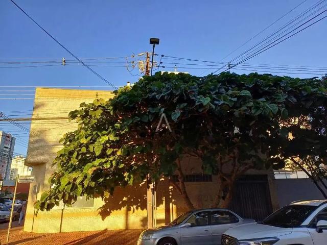 Apartamento aluguel em Região Geográfica Imediata de Cascavel, Cascavel