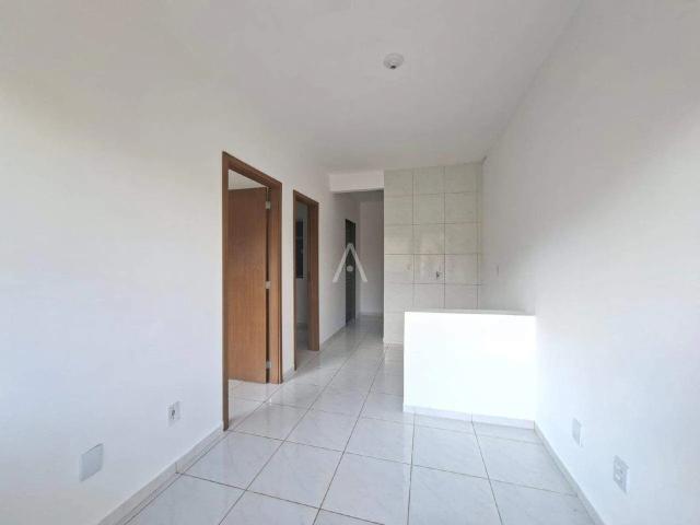 Apartamento aluguel em Cascavel, Região Geográfica Intermediária de Cascavel