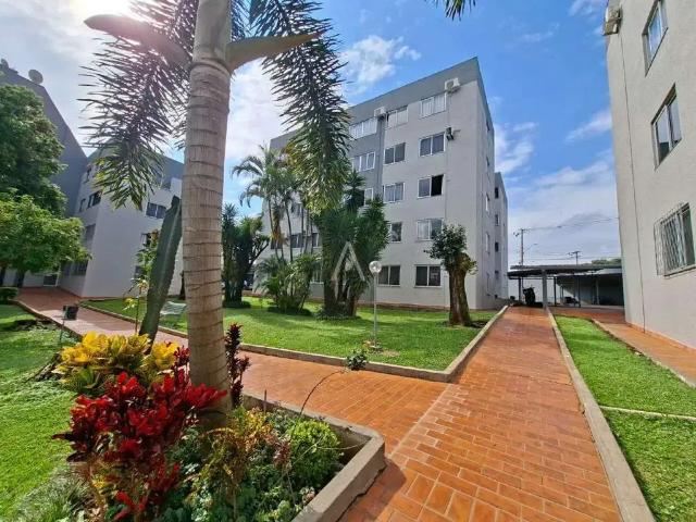 Apartamento aluguel em Região Geográfica Imediata de Cascavel, Cascavel