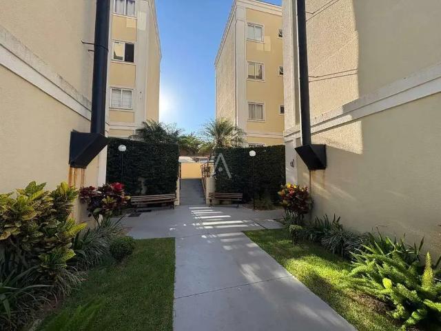 Apartamento aluguel em Região Geográfica Imediata de Cascavel, Cascavel
