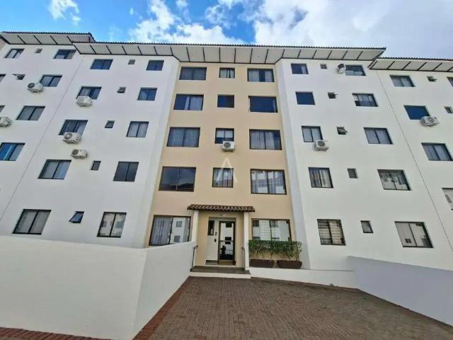 Apartamento aluguel em Região Geográfica Imediata de Londrina, Primeiro de Maio