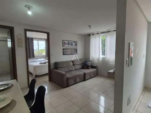 Apartamento aluguel em Região Geográfica Imediata de Cascavel, Cascavel