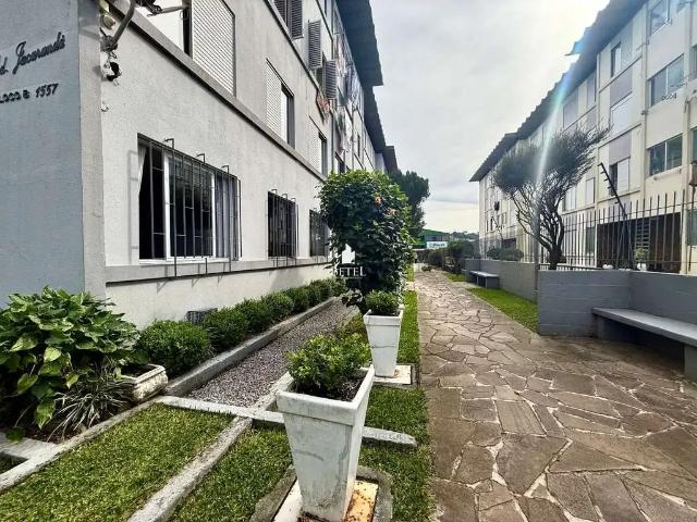 Apartamento aluguel em Região Geográfica Imediata de Caxias do Sul, Caxias do Sul