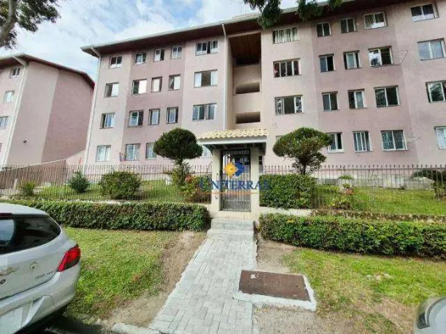 Apartamento aluguel em Região Geográfica Imediata de Curitiba, Região Metropolitana de Curitiba