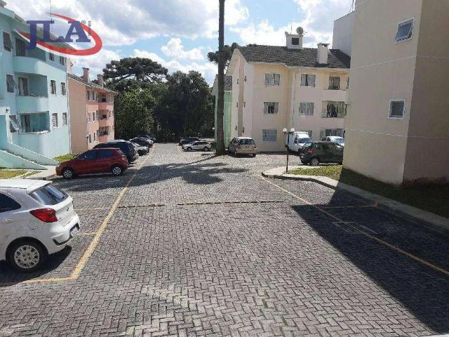 Apartamento aluguel em Região Geográfica Imediata de Curitiba, Região Metropolitana de Curitiba