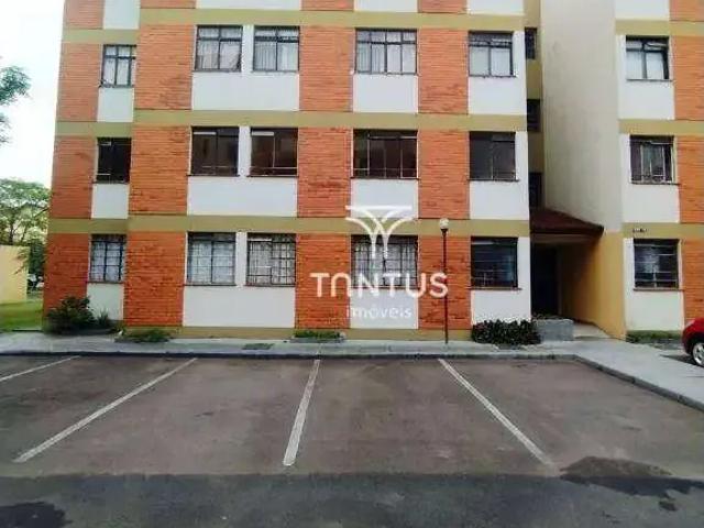 Apartamento aluguel em Região Geográfica Imediata de Curitiba, Região Metropolitana de Curitiba