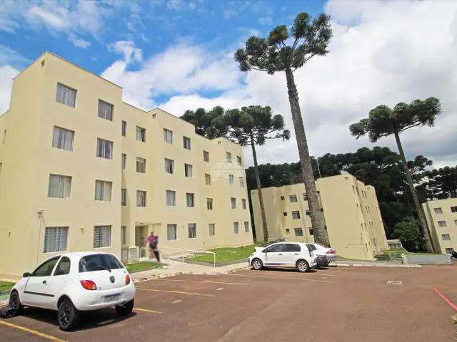 Apartamento aluguel em Região Geográfica Imediata de Curitiba, Região Metropolitana de Curitiba