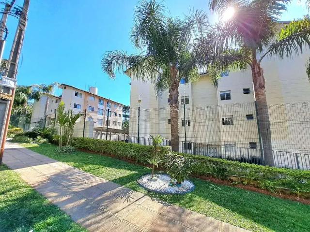 Apartamento aluguel em Região Geográfica Imediata de Curitiba, Região Metropolitana de Curitiba