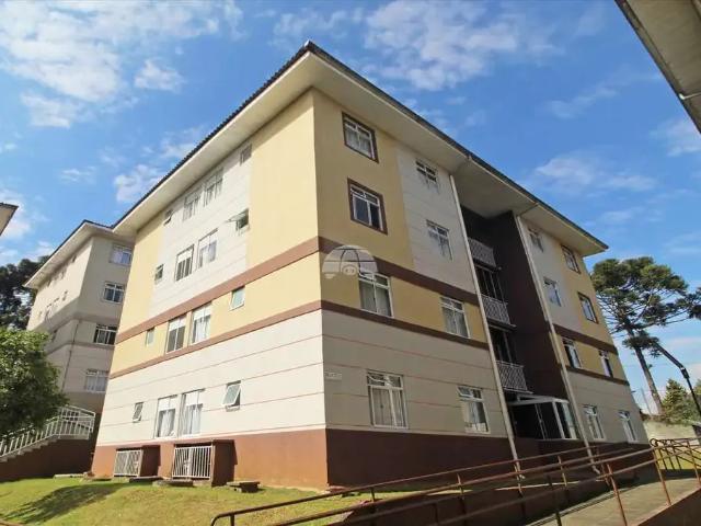 Apartamento aluguel em Região Geográfica Imediata de Curitiba, Região Metropolitana de Curitiba