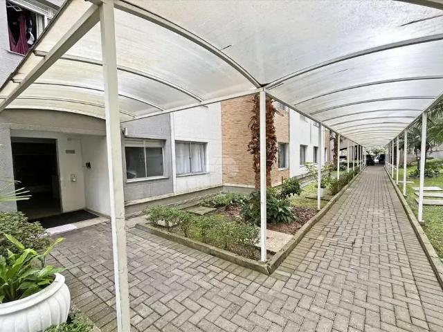 Apartamento aluguel em Região Geográfica Imediata de Curitiba, Região Metropolitana de Curitiba