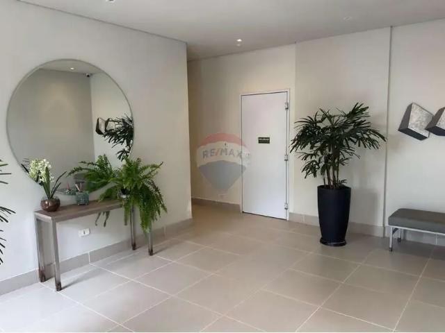 Apartamento aluguel em Região Geográfica Imediata de Curitiba, Região Metropolitana de Curitiba