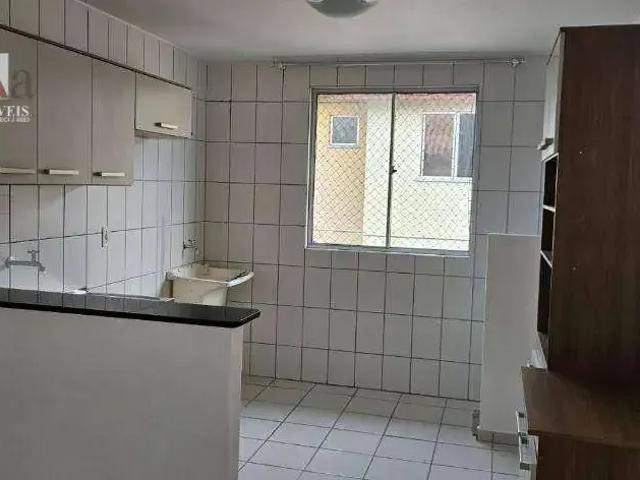 Apartamento aluguel em Região Geográfica Imediata de Curitiba, Região Metropolitana de Curitiba