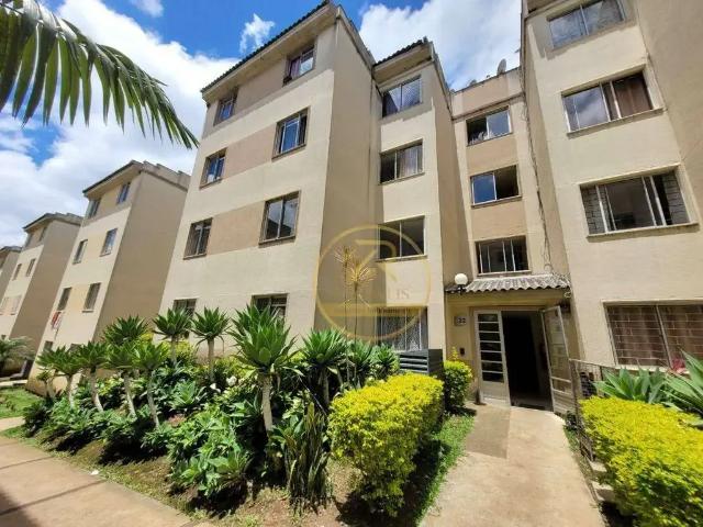 Apartamento aluguel em Região Geográfica Imediata de Curitiba, Região Metropolitana de Curitiba