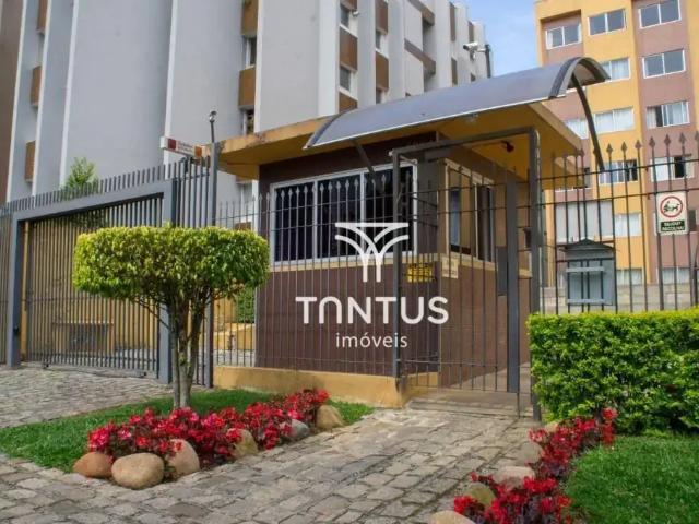 Apartamento aluguel em Região Geográfica Imediata de Curitiba, Região Metropolitana de Curitiba