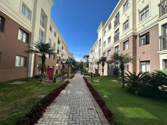 Apartamento aluguel em Região Geográfica Imediata de Curitiba, Região Metropolitana de Curitiba