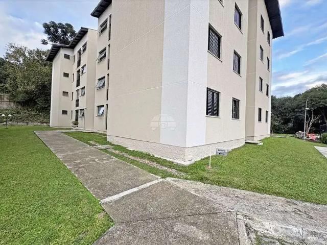 Apartamento aluguel em Região Geográfica Imediata de Curitiba, Região Metropolitana de Curitiba
