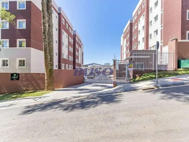 Apartamento aluguel em Região Geográfica Imediata de Curitiba, Região Metropolitana de Curitiba