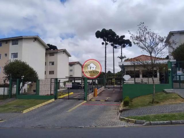 Apartamento aluguel em Região Geográfica Imediata de Curitiba, Região Metropolitana de Curitiba