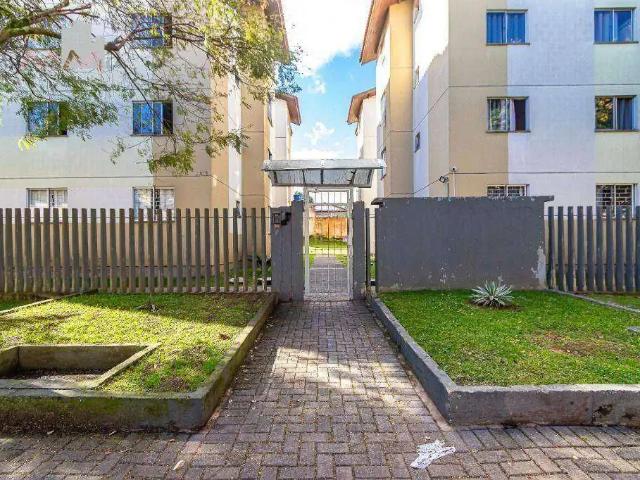 Apartamento aluguel em Região Geográfica Imediata de Curitiba, Região Metropolitana de Curitiba