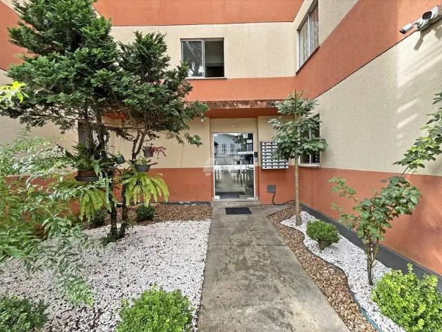 Apartamento aluguel em Região Geográfica Imediata de Curitiba, Região Metropolitana de Curitiba