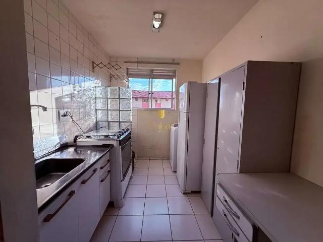 Apartamento aluguel em Região Geográfica Imediata de Curitiba, Região Metropolitana de Curitiba