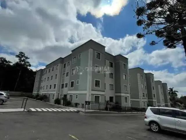 Apartamento aluguel em Região Geográfica Imediata de Curitiba, Região Metropolitana de Curitiba