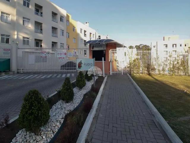 Apartamento aluguel em Região Geográfica Imediata de Curitiba, Região Metropolitana de Curitiba