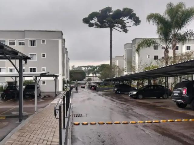 Apartamento aluguel em Região Geográfica Imediata de Curitiba, Região Metropolitana de Curitiba