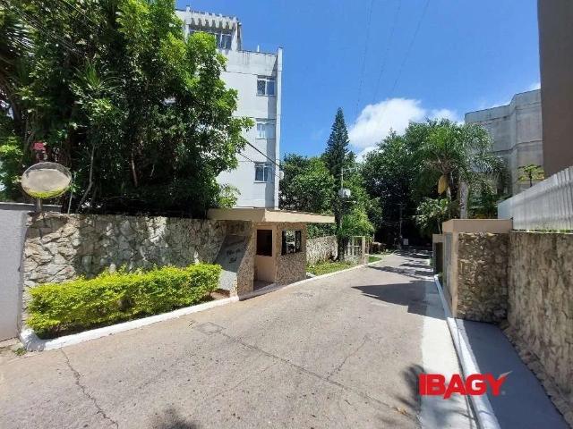 Apartamento aluguel em Bom Abrigo, Florianópolis