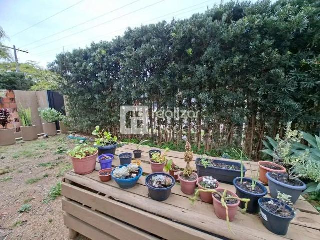 Apartamento aluguel em Região Geográfica Imediata de Florianópolis, Desterro