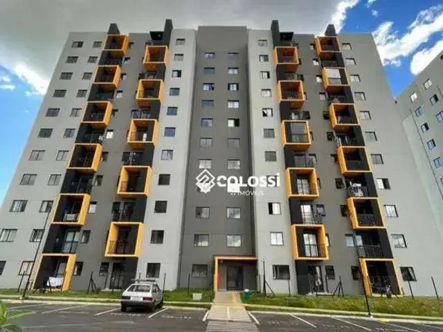 Apartamento aluguel em Região Geográfica Imediata de Guarapuava, Guarapuava