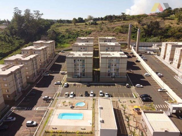 Apartamento aluguel em Vila Progresso, Ibiporã