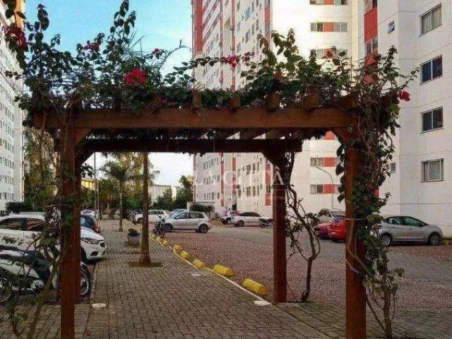 Apartamento aluguel em Região Geográfica Imediata de Itajaí, Itajaí