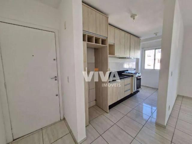 Apartamento aluguel em Região Geográfica Imediata de Itajaí, Itajaí