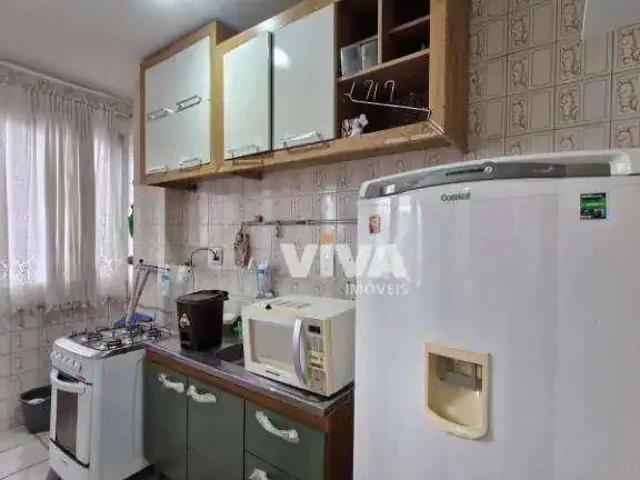 Apartamento aluguel em Região Geográfica Imediata de Itajaí, Itajaí