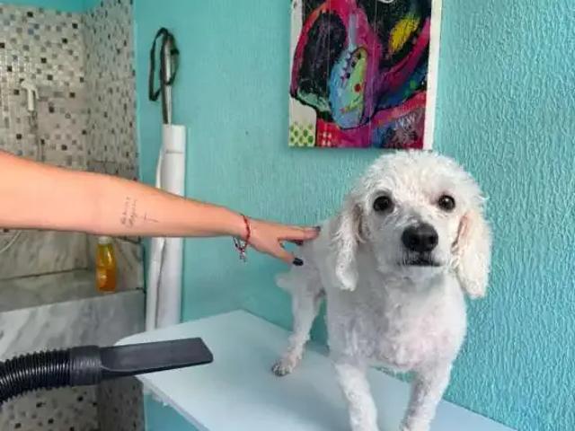 Apartamento aluguel em Região Geográfica Imediata do Recife, Região Metropolitana do Recife