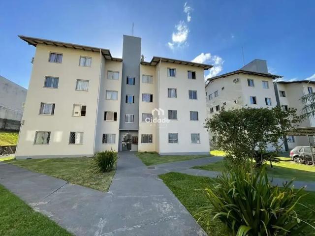Apartamento aluguel em Região Geográfica Imediata de Joinville, Jaraguá do Sul