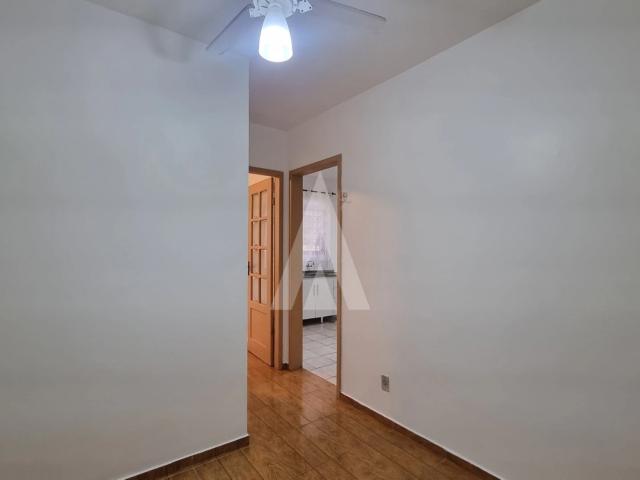 Apartamento aluguel em Anita Garibaldi, Joinville
